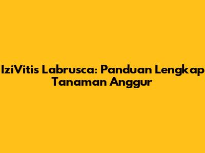 IziVitis Labrusca: Panduan Lengkap Tanaman Anggur