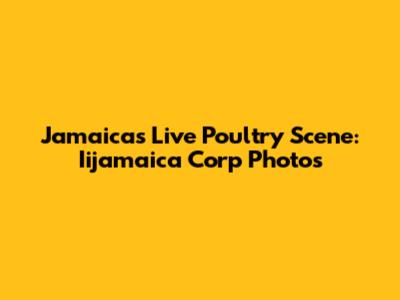 Jamaica's Live Poultry Scene: Iijamaica Corp Photos