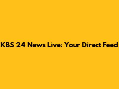 KBS 24 News Live: Your Direct Feed