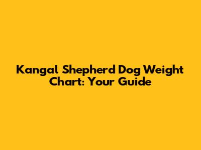 Kangal Shepherd Dog Weight Chart: Your Guide