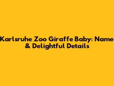 Karlsruhe Zoo Giraffe Baby: Name & Delightful Details