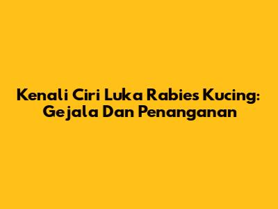 Kenali Ciri Luka Rabies Kucing: Gejala Dan Penanganan