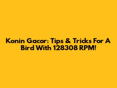 Konin Gacor: Tips & Tricks For A Bird With 128308 RPM!