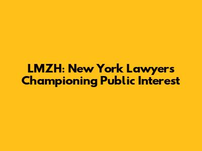 LMZH: New York Lawyers Championing Public Interest