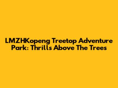 LMZHKopeng Treetop Adventure Park: Thrills Above The Trees