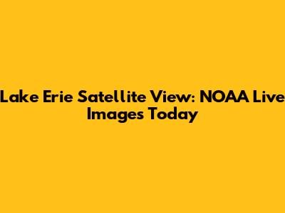 Lake Erie Satellite View: NOAA Live Images Today