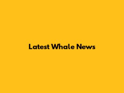 Latest Whale News