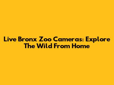 Live Bronx Zoo Cameras: Explore The Wild From Home
