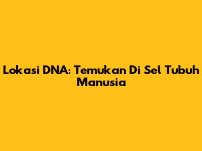 Lokasi DNA: Temukan Di Sel Tubuh Manusia