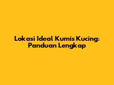Lokasi Ideal Kumis Kucing: Panduan Lengkap