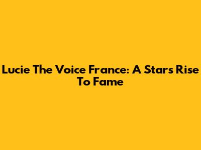 Lucie The Voice France: A Star's Rise To Fame