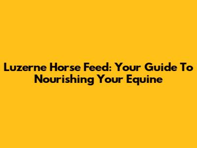 Luzerne Horse Feed: Your Guide To Nourishing Your Equine