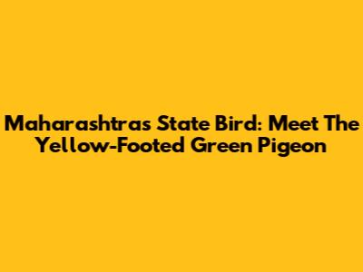 Maharashtra's State Bird: Meet The Yellow-Footed Green Pigeon
