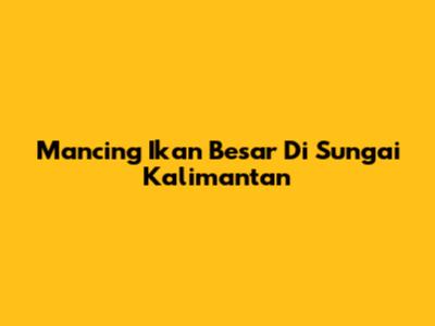 Mancing Ikan Besar Di Sungai Kalimantan