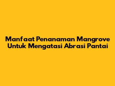 Manfaat Penanaman Mangrove Untuk Mengatasi Abrasi Pantai