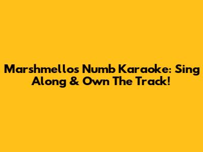 Marshmello's Numb Karaoke: Sing Along & Own The Track!