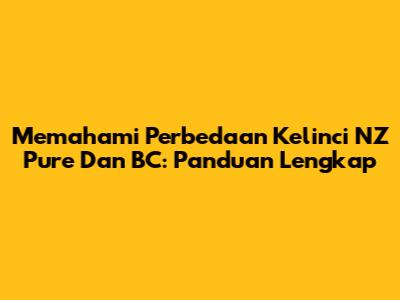 Memahami Perbedaan Kelinci NZ Pure Dan BC: Panduan Lengkap