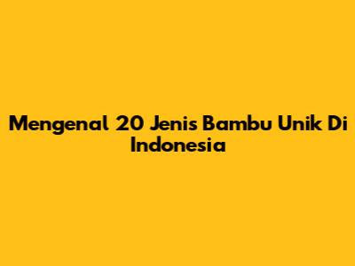 Mengenal 20 Jenis Bambu Unik Di Indonesia