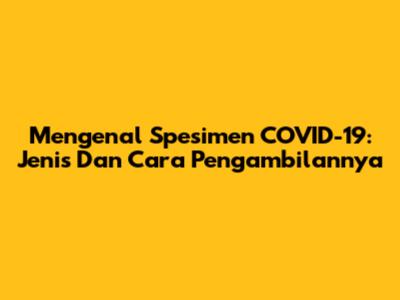 Mengenal Spesimen COVID-19: Jenis Dan Cara Pengambilannya