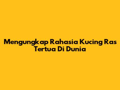 Mengungkap Rahasia Kucing Ras Tertua Di Dunia