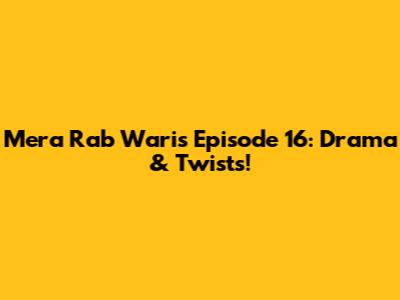 Mera Rab Waris Episode 16: Drama & Twists!