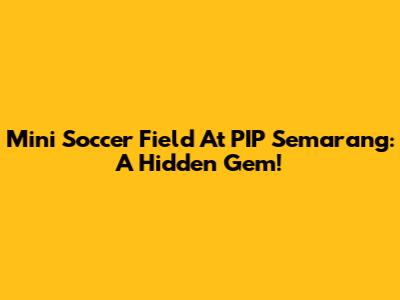 Mini Soccer Field At PIP Semarang: A Hidden Gem!