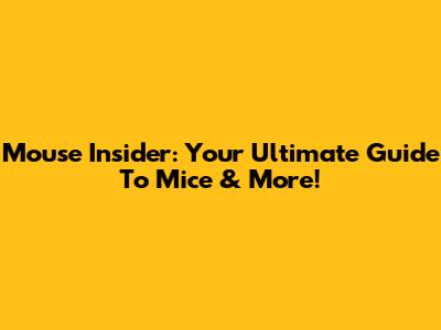 Mouse Insider: Your Ultimate Guide To Mice & More!