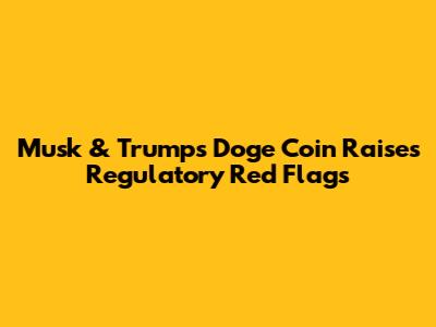 Musk & Trump's Doge Coin Raises Regulatory Red Flags