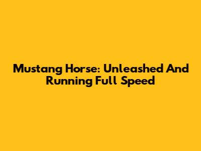 Mustang Horse: Unleashed And Running Full Speed