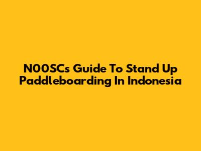 N00SC's Guide To Stand Up Paddleboarding In Indonesia