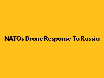 NATO's Drone Response To Russia