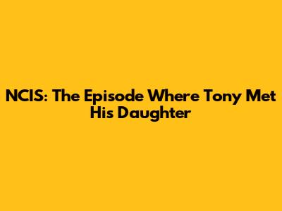 NCIS: The Episode Where Tony Met His Daughter