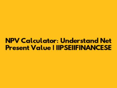 NPV Calculator: Understand Net Present Value | IIPSEIIFINANCESE