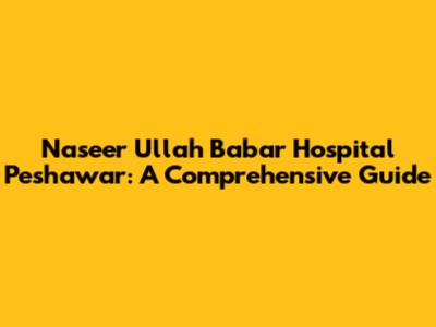 Naseer Ullah Babar Hospital Peshawar: A Comprehensive Guide