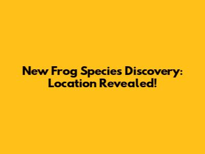 New Frog Species Discovery: Location Revealed!