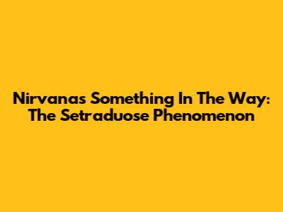 Nirvana's "Something In The Way": The Setraduose Phenomenon