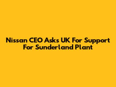Nissan CEO Asks UK For Support For Sunderland Plant