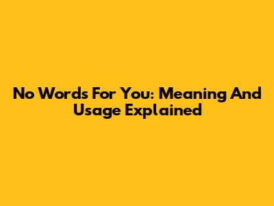 No Words For You: Meaning And Usage Explained