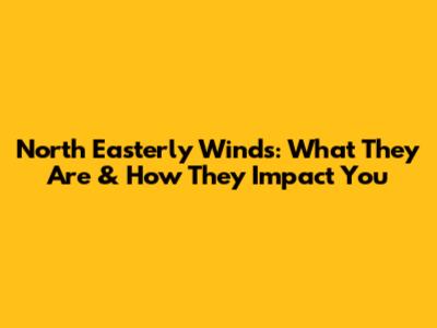 North Easterly Winds: What They Are & How They Impact You