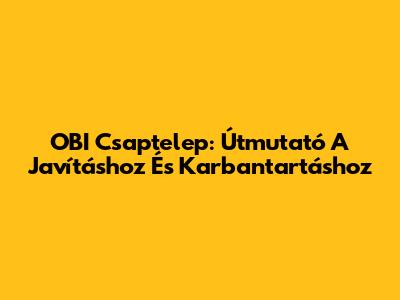 OBI Csaptelep: Útmutató A Javításhoz És Karbantartáshoz