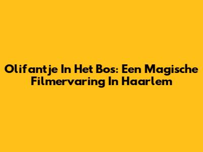Olifantje In Het Bos: Een Magische Filmervaring In Haarlem
