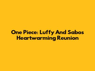 One Piece: Luffy And Sabo's Heartwarming Reunion
