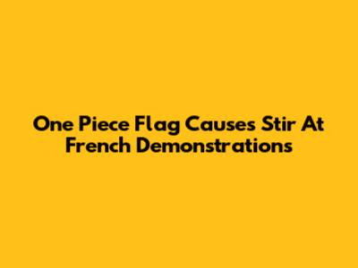 One Piece Flag Causes Stir At French Demonstrations