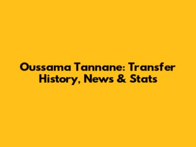 Oussama Tannane: Transfer History, News & Stats