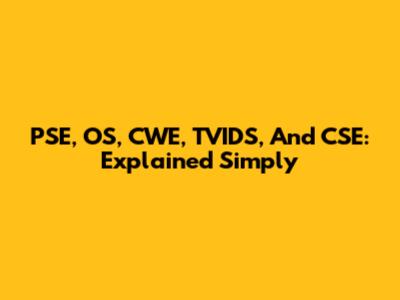 PSE, OS, CWE, TVIDS, And CSE: Explained Simply
