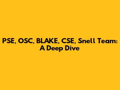 PSE, OSC, BLAKE, CSE, Snell Team: A Deep Dive