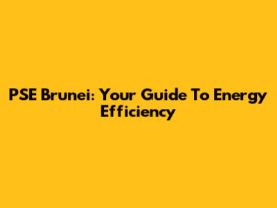 PSE Brunei: Your Guide To Energy Efficiency