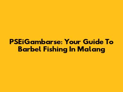 PSEiGambarse: Your Guide To Barbel Fishing In Malang