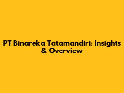 PT Binareka Tatamandiri: Insights & Overview