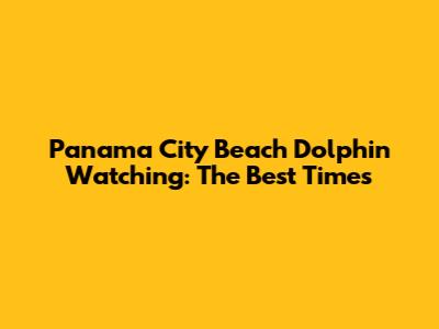 Panama City Beach Dolphin Watching: The Best Times